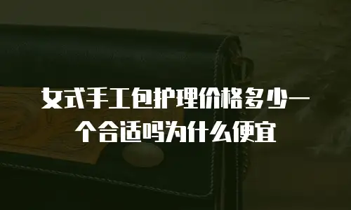 女式手工包护理价格多少一个合适吗为什么便宜