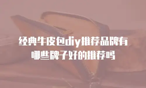 经典牛皮包diy推荐品牌有哪些牌子好的推荐吗