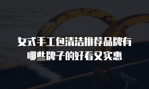 女式手工包清洁推荐品牌有哪些牌子的好看又实惠