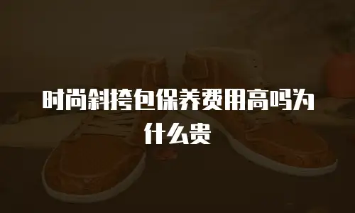 时尚斜挎包保养费用高吗为什么贵