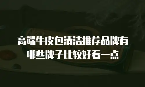 高端牛皮包清洁推荐品牌有哪些牌子比较好看一点