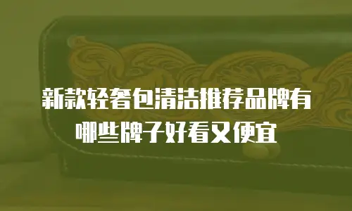 新款轻奢包清洁推荐品牌有哪些牌子好看又便宜