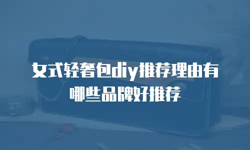 女式轻奢包diy推荐理由有哪些品牌好推荐