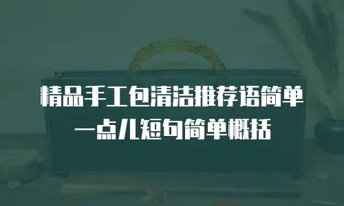 精品手工包清洁推荐语简单一点儿短句简单概括