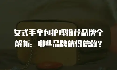 女式手拿包护理推荐品牌全解析：哪些品牌值得信赖？