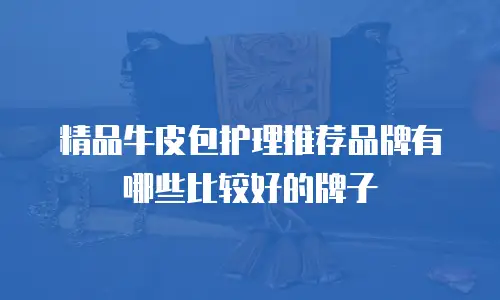 精品牛皮包护理推荐品牌有哪些比较好的牌子