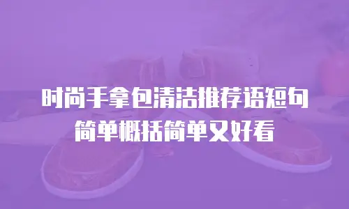 时尚手拿包清洁推荐语短句简单概括简单又好看
