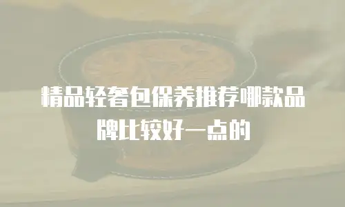 精品轻奢包保养推荐哪款品牌比较好一点的