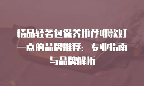 精品轻奢包保养推荐哪款好一点的品牌推荐：专业指南与品牌解析