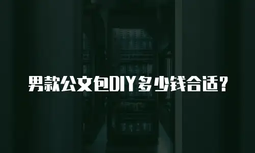 男款公文包DIY多少钱合适？