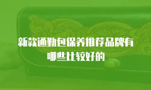 新款通勤包保养推荐品牌有哪些比较好的