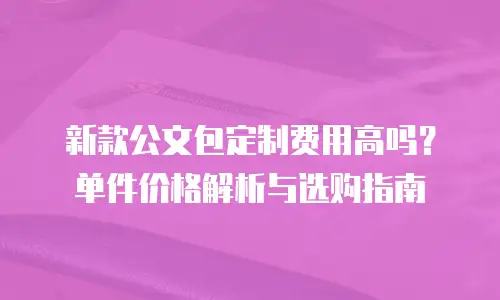 新款公文包定制费用高吗？单件价格解析与选购指南