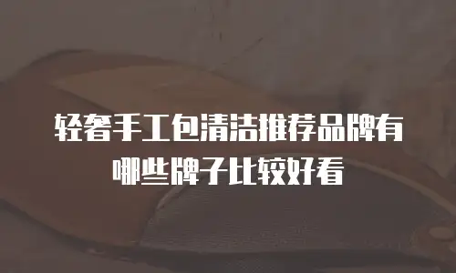 轻奢手工包清洁推荐品牌有哪些牌子比较好看
