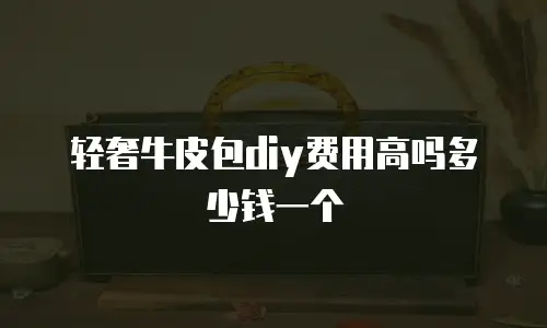 轻奢牛皮包diy费用高吗多少钱一个