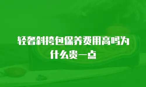 轻奢斜挎包保养费用高吗为什么贵一点