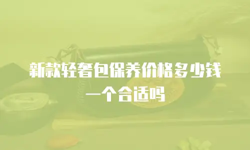 新款轻奢包保养价格多少钱一个合适吗