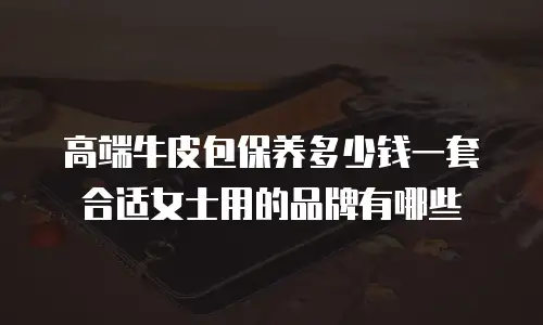 高端牛皮包保养多少钱一套合适女士用的品牌有哪些
