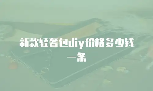 新款轻奢包diy价格多少钱一条
