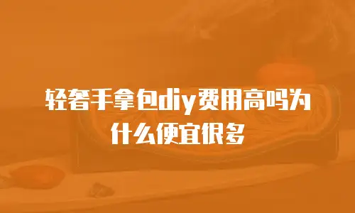 轻奢手拿包diy费用高吗为什么便宜很多