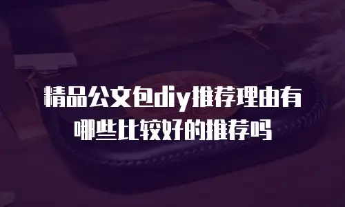 精品公文包diy推荐理由有哪些比较好的推荐吗