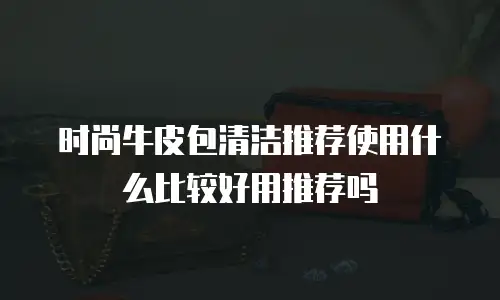 时尚牛皮包清洁推荐使用什么比较好用推荐吗