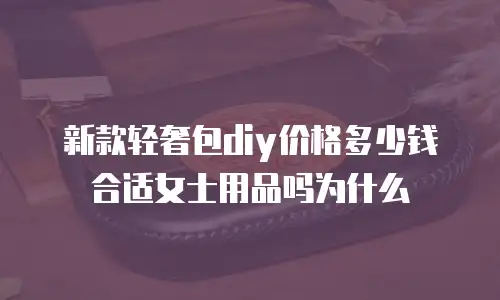 新款轻奢包diy价格多少钱合适女士用品吗为什么