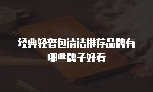 经典轻奢包清洁推荐品牌有哪些牌子好看