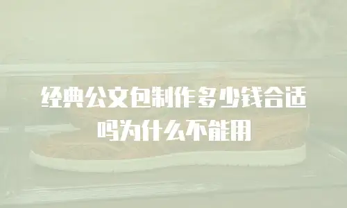 经典公文包制作多少钱合适吗为什么不能用