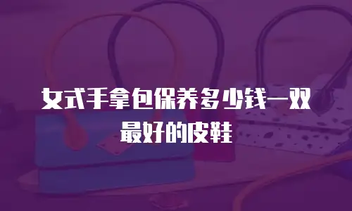 女式手拿包保养多少钱一双最好的皮鞋