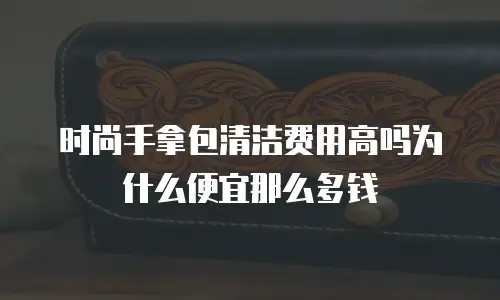 时尚手拿包清洁费用高吗为什么便宜那么多钱