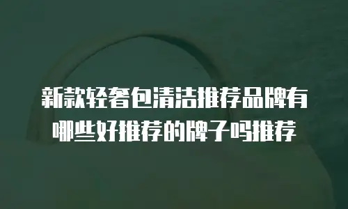 新款轻奢包清洁推荐品牌有哪些好推荐的牌子吗推荐