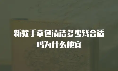新款手拿包清洁多少钱合适吗为什么便宜