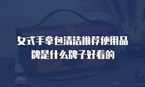 女式手拿包清洁推荐使用品牌是什么牌子好看的