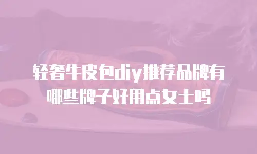 轻奢牛皮包diy推荐品牌有哪些牌子好用点女士吗