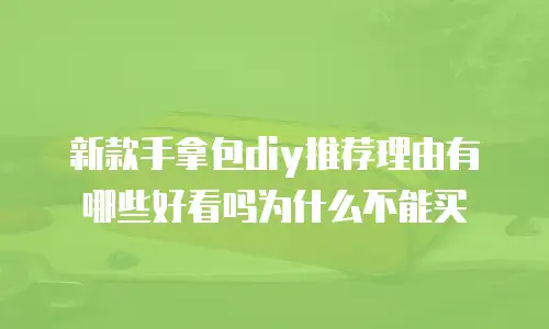 新款手拿包diy推荐理由有哪些好看吗为什么不能买