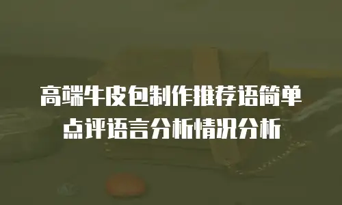 高端牛皮包制作推荐语简单点评语言分析情况分析