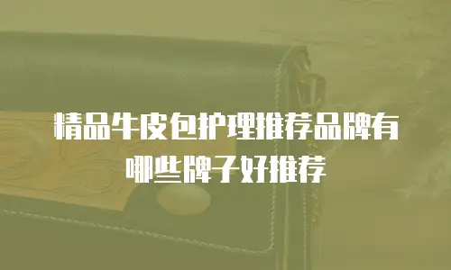 精品牛皮包护理推荐品牌有哪些牌子好推荐