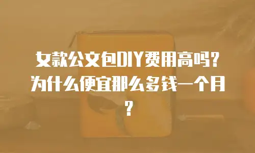 女款公文包DIY费用高吗？为什么便宜那么多钱一个月？