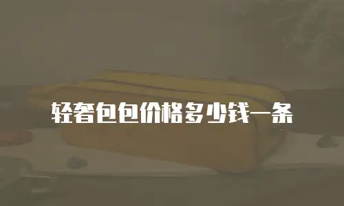 轻奢包包价格多少钱一条
