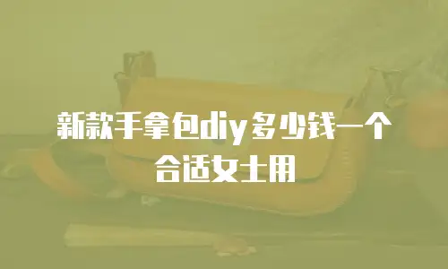 新款手拿包diy多少钱一个合适女士用