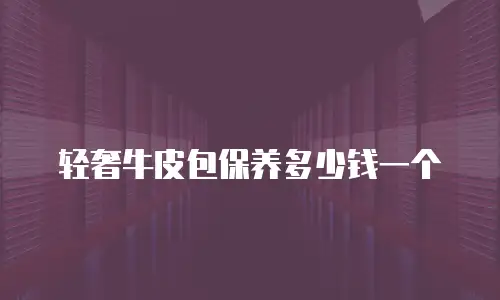轻奢牛皮包保养多少钱一个