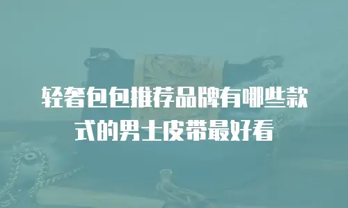 轻奢包包推荐品牌有哪些款式的男士皮带最好看