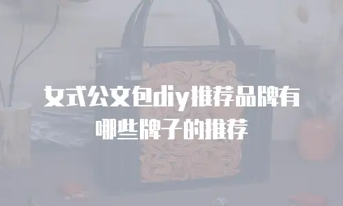 女式公文包diy推荐品牌有哪些牌子的推荐