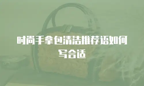 时尚手拿包清洁推荐语如何写合适