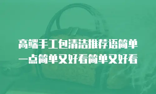 高端手工包清洁推荐语简单一点简单又好看简单又好看