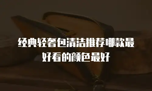 经典轻奢包清洁推荐哪款最好看的颜色最好