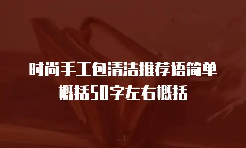 时尚手工包清洁推荐语简单概括50字左右概括