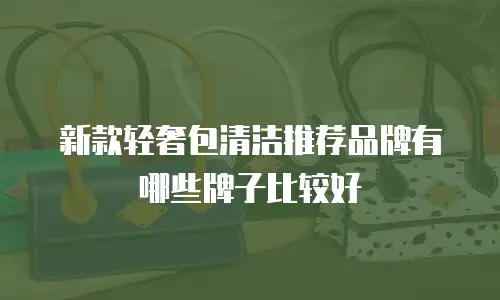 新款轻奢包清洁推荐品牌有哪些牌子比较好