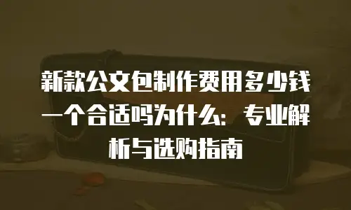 新款公文包制作费用多少钱一个合适吗为什么：专业解析与选购指南