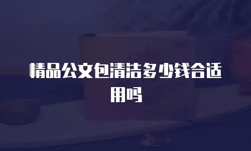 精品公文包清洁多少钱合适用吗